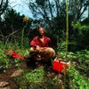 Deonte the Alien - More dirt, More flowers
