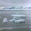 TCR-4 - Glacier I
