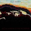Cole Chaney - In the Shadow of the Mountain