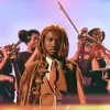 redveil - brown sugar