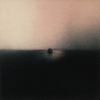 Vincent Lima - To Love A Thing That Fades