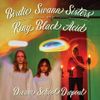 King Black Acid - Dream School Dropout