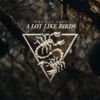 A Lot Like Birds - When In Love