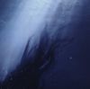 Danny L Harle - Azimuth