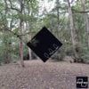 Don't Worry, I Have A Plan - Trees