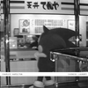 Charles Hamilton - Chinese Laundry