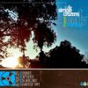 Simple Citizens - Early Morning