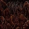 Vulnificus - Inclination