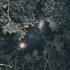 156/Silence - Our Parting Ways