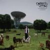 Depresión Sonora - Los Perros no Entienden Internet  (...Y Yo no Entiendo de Sentimientos)