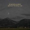 Buffalo Traffic Jam - Fool&rsquo;s Gold