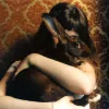 Florence Road - Miss