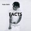 Pablo Chill-E - Facts