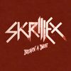 Skrillex - Breakn' A Sweat