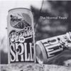 Built to Spill - The Normal Years