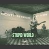 Scott Reynolds - Stupid World