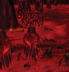 Defeated Sanity - Drifting Further