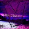 Ben Wolfe - V