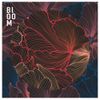 Shubh Saran - Bloom