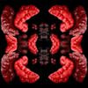 Flesh II