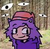 the forest has eyes