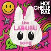 Hot Chelle Rae - The Labubu Song
