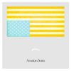 Rostam - American Stories