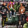Basedplugg - Day by Day