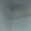 Owly The Complacent Owl - Gallery