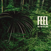 Hikes - Feel