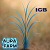 Aura Farm