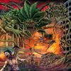 Kryptoxik Mortality - 420 Hybrid Genetic Devastational Collapse