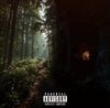 Civ - THE WOODS