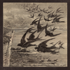 Neutral Milk Hotel - Little Birds