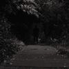billy woods - Complications