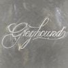 Greyhound