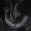 schafter - palimpsest