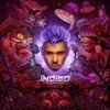Chris Brown - INDIGO