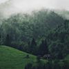 favvs - Isolation