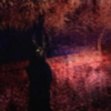 Cardinal Sin - OCTOBER.MOV