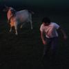 fin peach - kill the bull