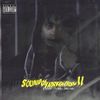 Sybyr - Sound of Irritation II: Runoff Misery Grounds