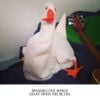 Spanish Love Songs - Giant Sings the Blues