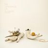 Twigs & Yarn - The Language of Flowers