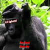 Lil Sghetti - You Don't Know Me