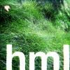 hml