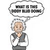 dj diddlyblud - What Is This Diddyblud Doing?