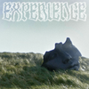 Simse - experience
