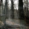 Gallowbraid - Ashen Eidolon