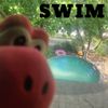 POG SKINI - SWIM